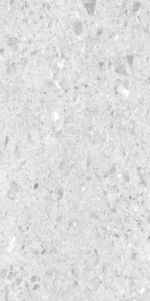 ENDURO SILVER__P1.webp