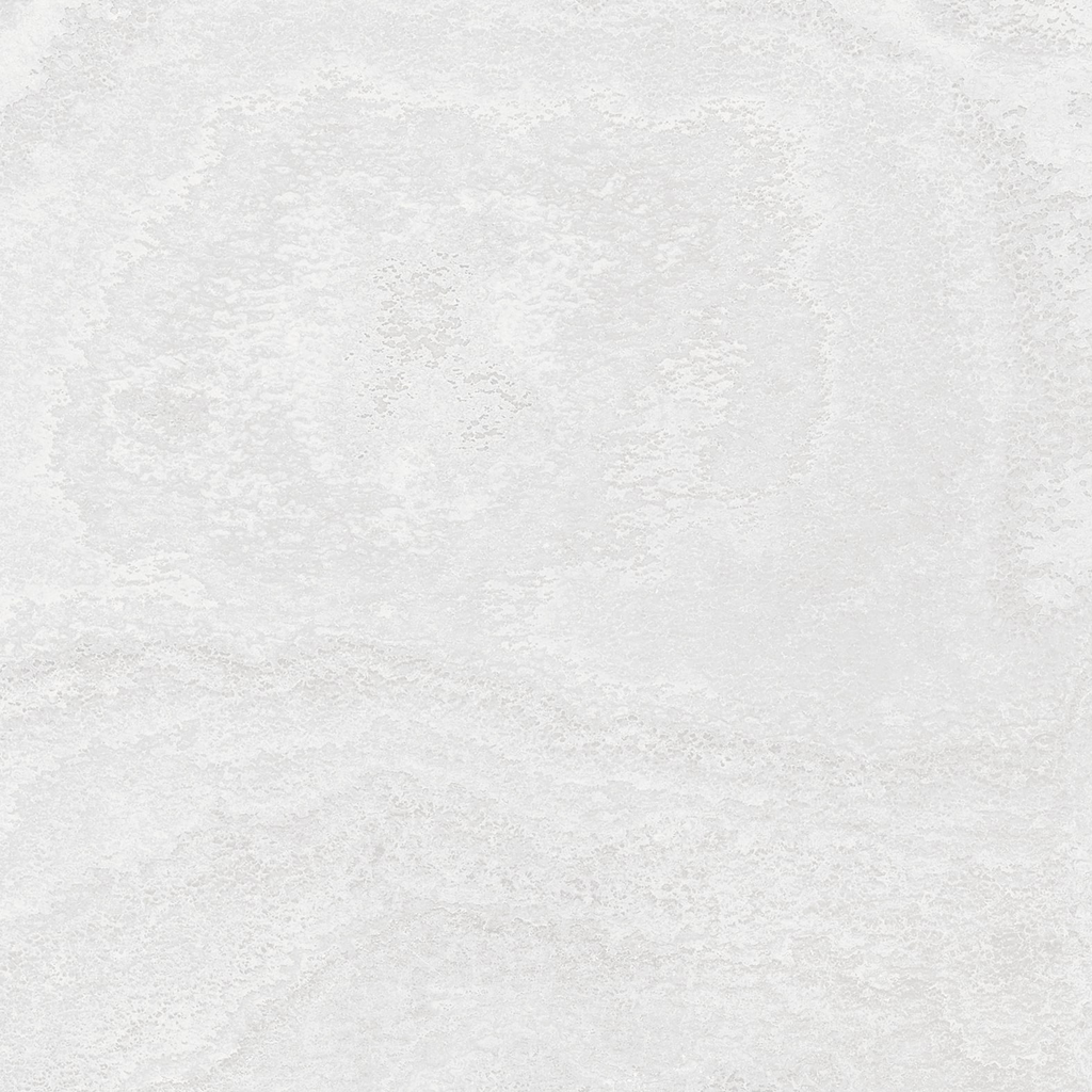 3003 DISHA 7002 F CMYK 600X600 R2-min.webp
