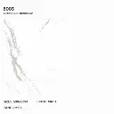 8003.webp