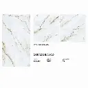 [DCS00034] Dorado Biano - Matt - P - 80x160.webp