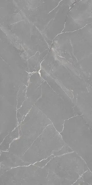 Pandora Silver 1.webp