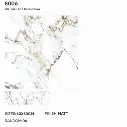 8006.webp