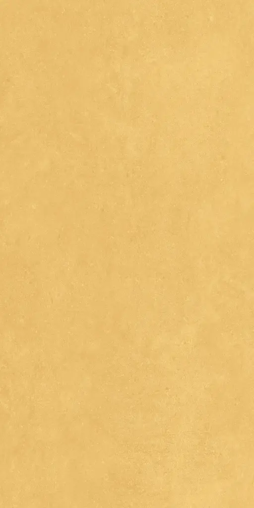 CORN YELLOW_1.webp