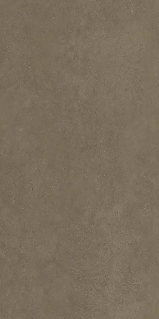 GINGER LATTE_1.webp