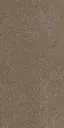 GINGER LATTE_1.webp
