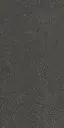 RAISIN BLACK_1.webp