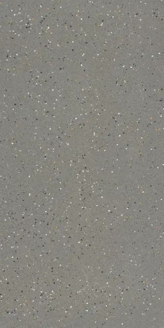[LBI00016] Mosaic Fossil - Glossy - C - 30x60.webp