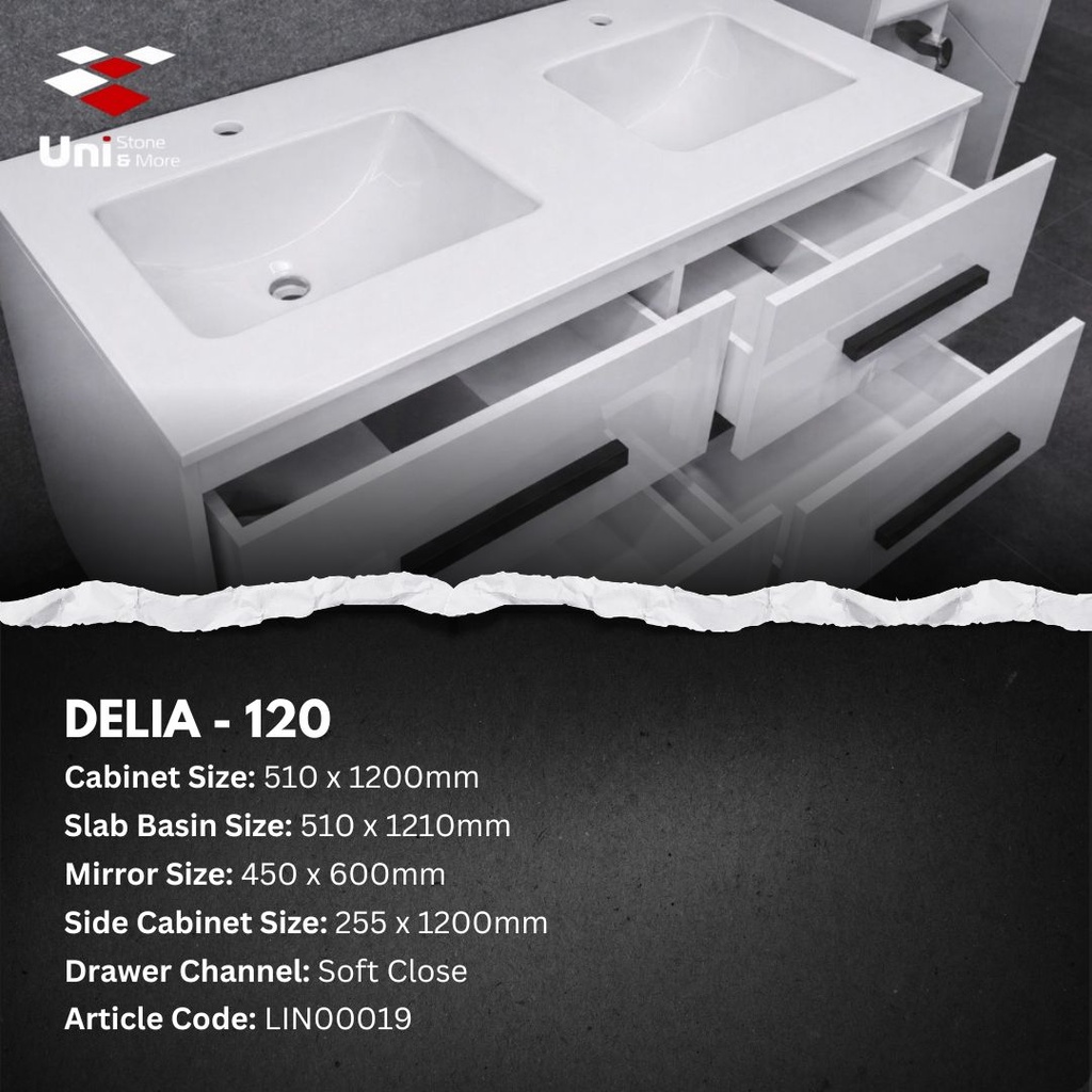 Cabinet Vanity - Delia-120 - 51x120 (1).jpeg