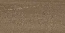 ZERIONA CHOCO (7466 LOYAL) copy 2.jpg.webp