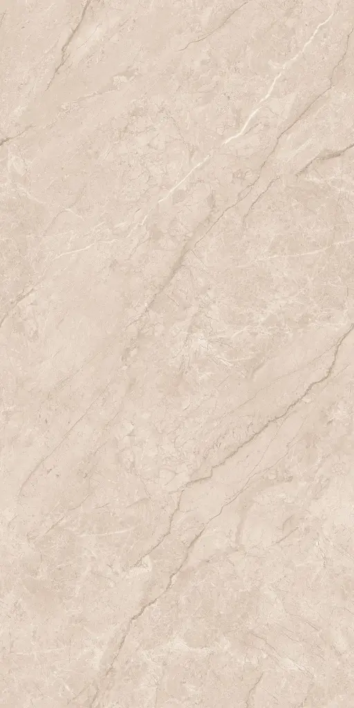 EDL SEAGATE BROWN_1.jpg.webp