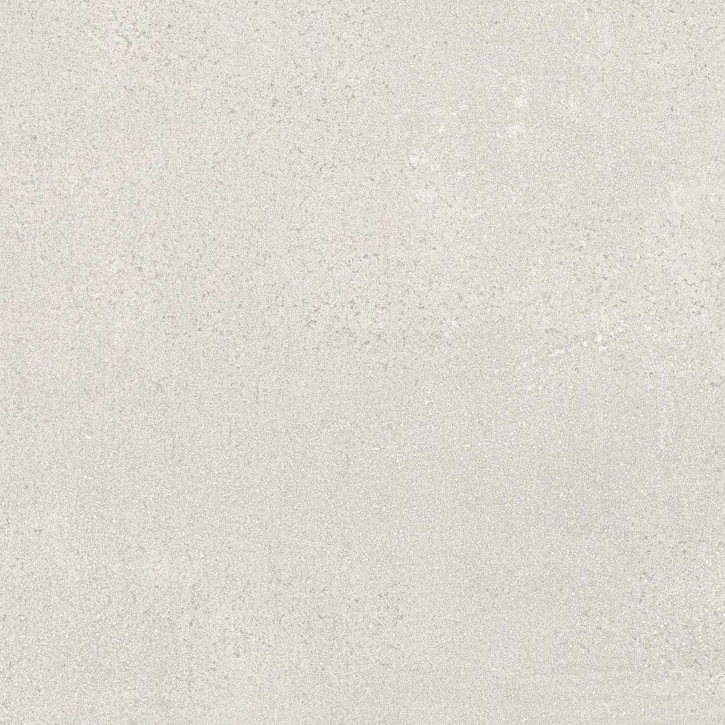 3020 DISHA 7019 R1-min.webp