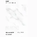 8017.webp