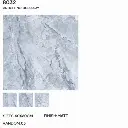 8032.webp