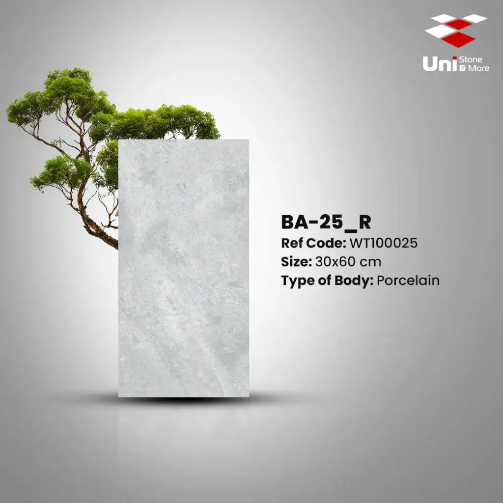 Ba-025_R - Matt - P - 30x60