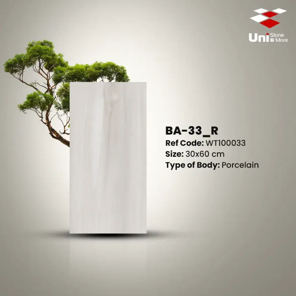 Ba-033_R - Matt - P - 30x60