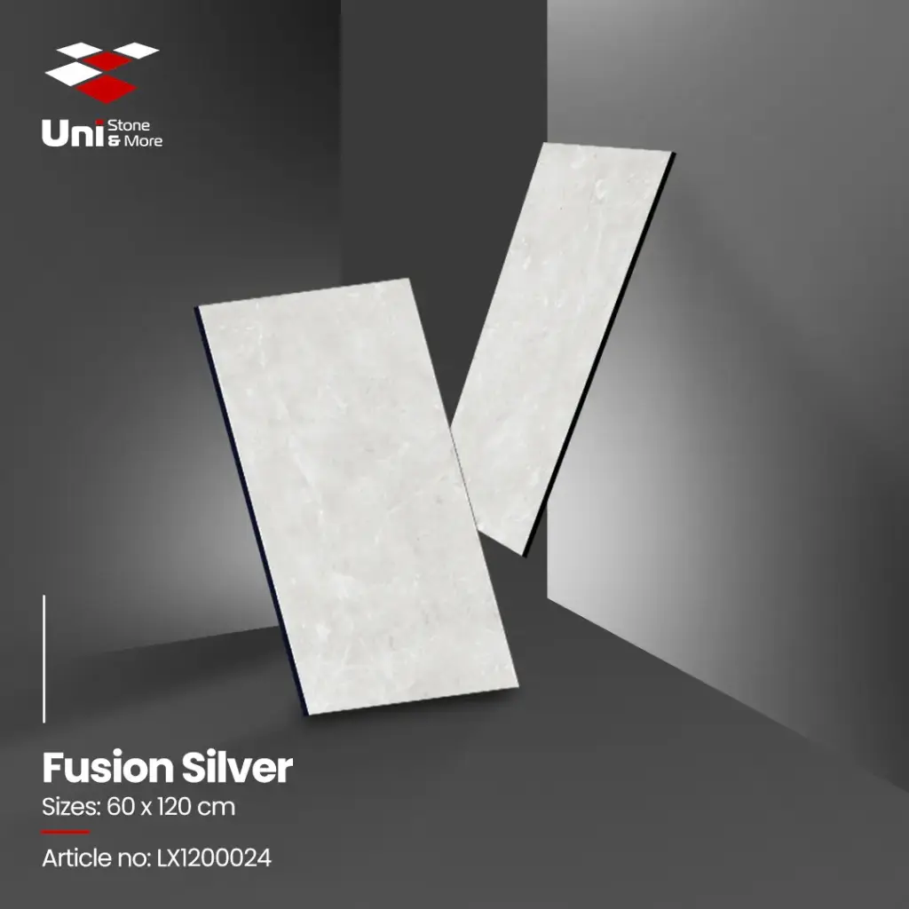Fusion Silver - Glossy - P - 60x120