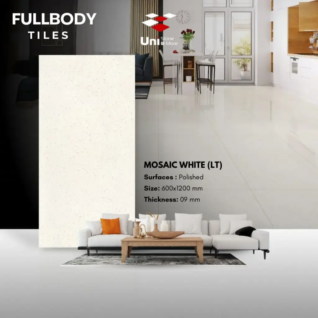 Mosaic White (LT) - Polished - P(FB) - 60x120