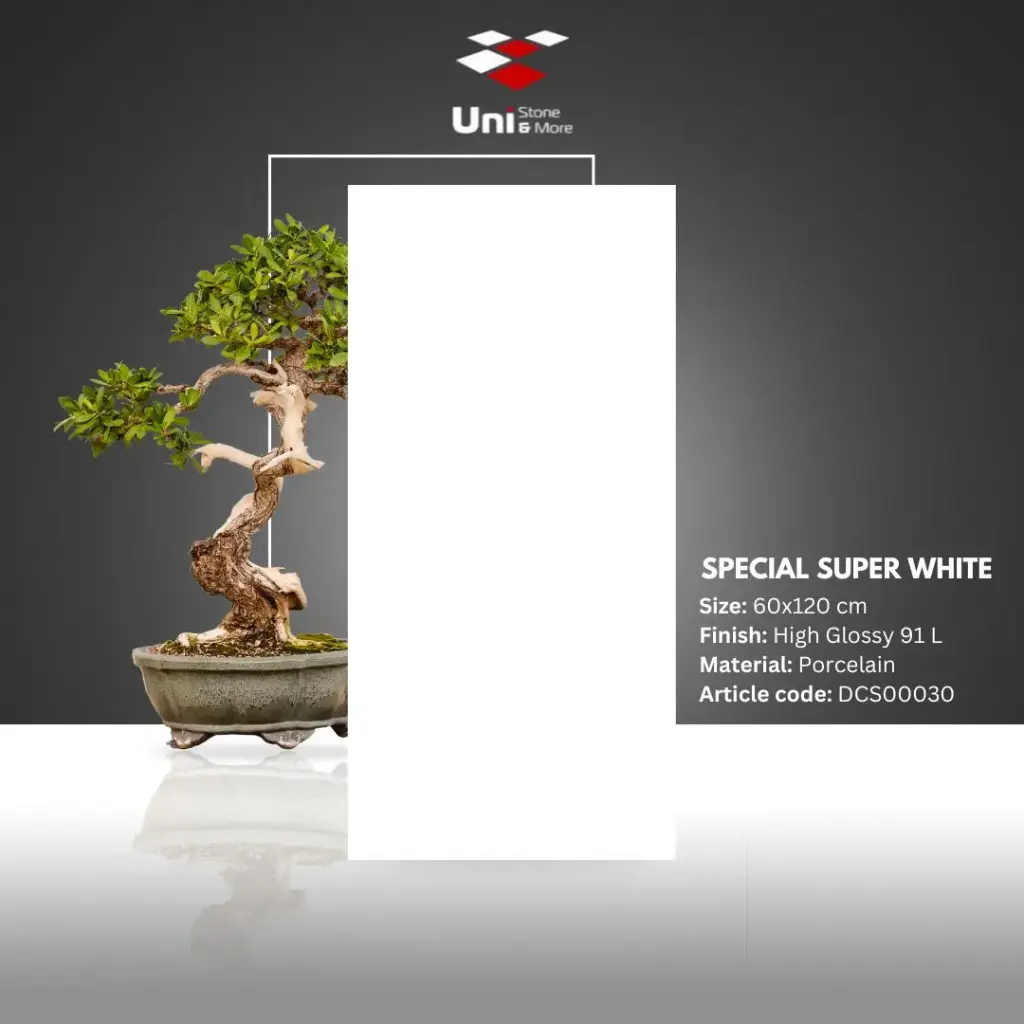 Special Super White - High Glossy 91 L - P - 60x120
