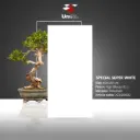 Special Super White - High Glossy 91 L - P - 60x120