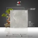 Design 8036 - Matt - C - 60x60