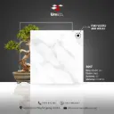 Design 8017 - Matt - C - 60x60