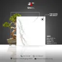 Design 8003 - Matt - C - 60x60