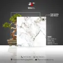 Design 8006 - Matt - C - 60x60