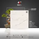 Design 8035 - Glossy - C