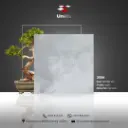 Design 3006 - Matt - C - 60x60