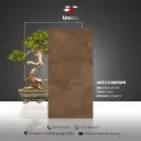 Antilo Brown - Matt - C - 60x120