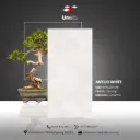 Antilo White  - Carving - C - 60x120