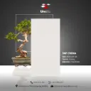 SNP Crema - Glossy - P - 60x120