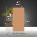 GL 2037 - Glossy - P - 60x120