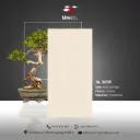 GL 2039 - Glossy - P - 60x120