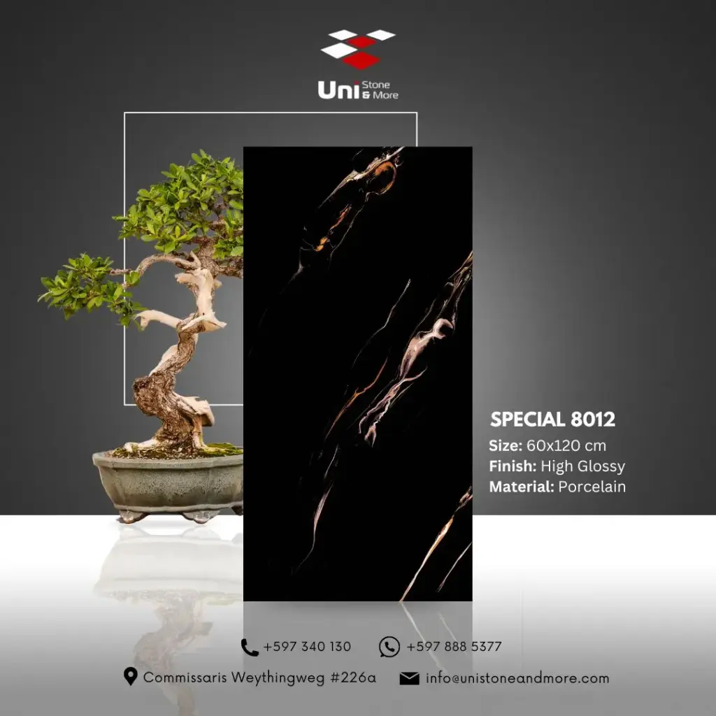 Special 8012 - High Glossy - P - 60x120