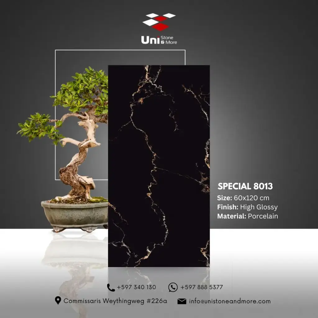 Special 8013 - High Glossy - P - 60x120