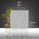 Escara Gris - R11 - P - 60x60