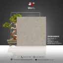 Focus Rosata - R11 - P - 60x60