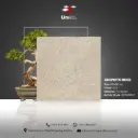 Graphito Beige - R11 - P - 60x60