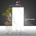 Statuario Diamond Gold - Glossy - P - 60x120