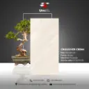 Crossover Crema - Glossy - P - 60x120