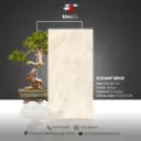 Elegant Beige - Glossy - P - 60x120