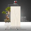 Italy Light - Glossy - P - 60x120