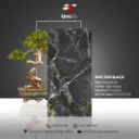 Molteni Black - High Glossy - P - 60x120