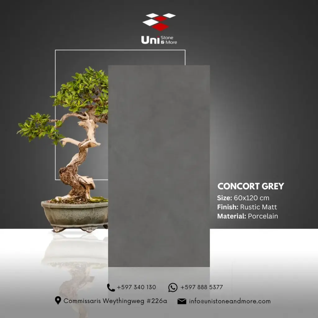 Concort Grey - Rustic Matt - P - 60x120