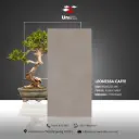 Leonessa Caffe - Rustic Matt - P - 60x120