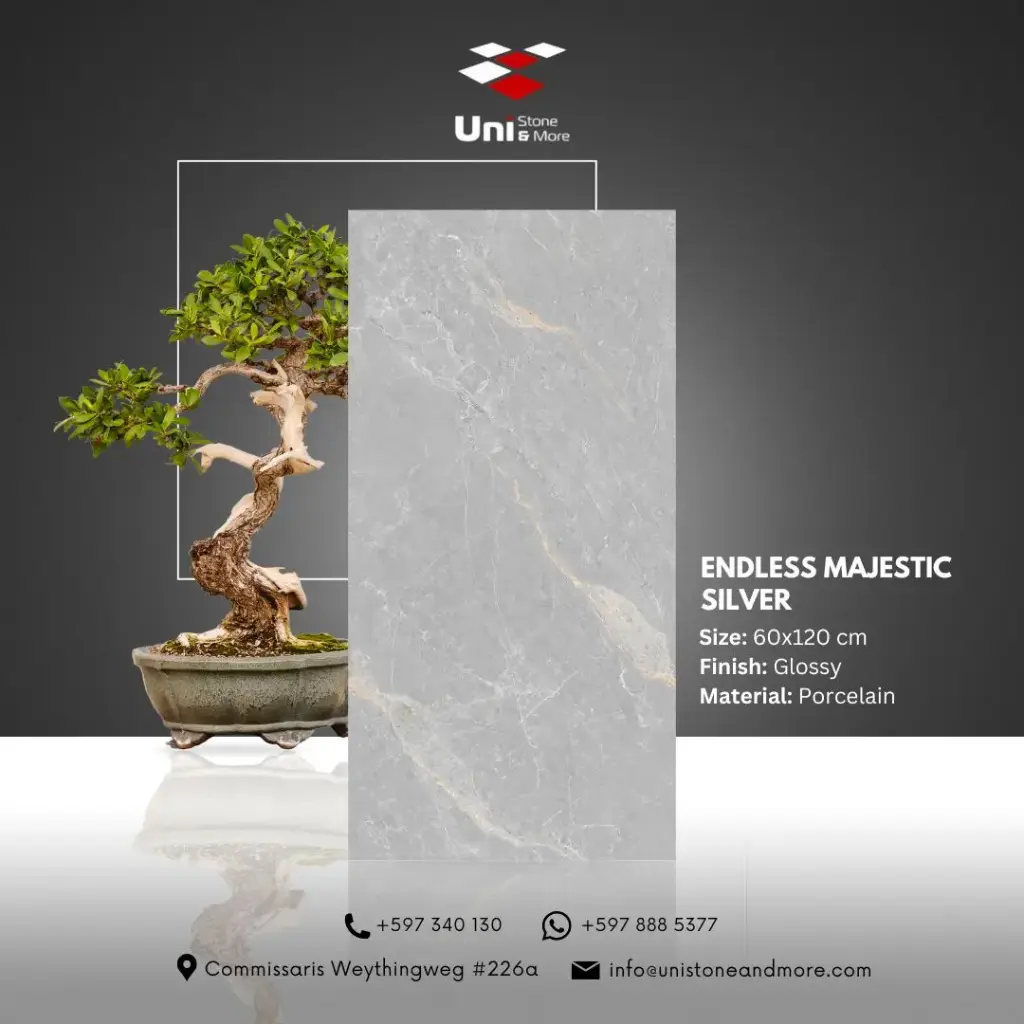 Endless Majestic Silver - Glossy - P - 60x120