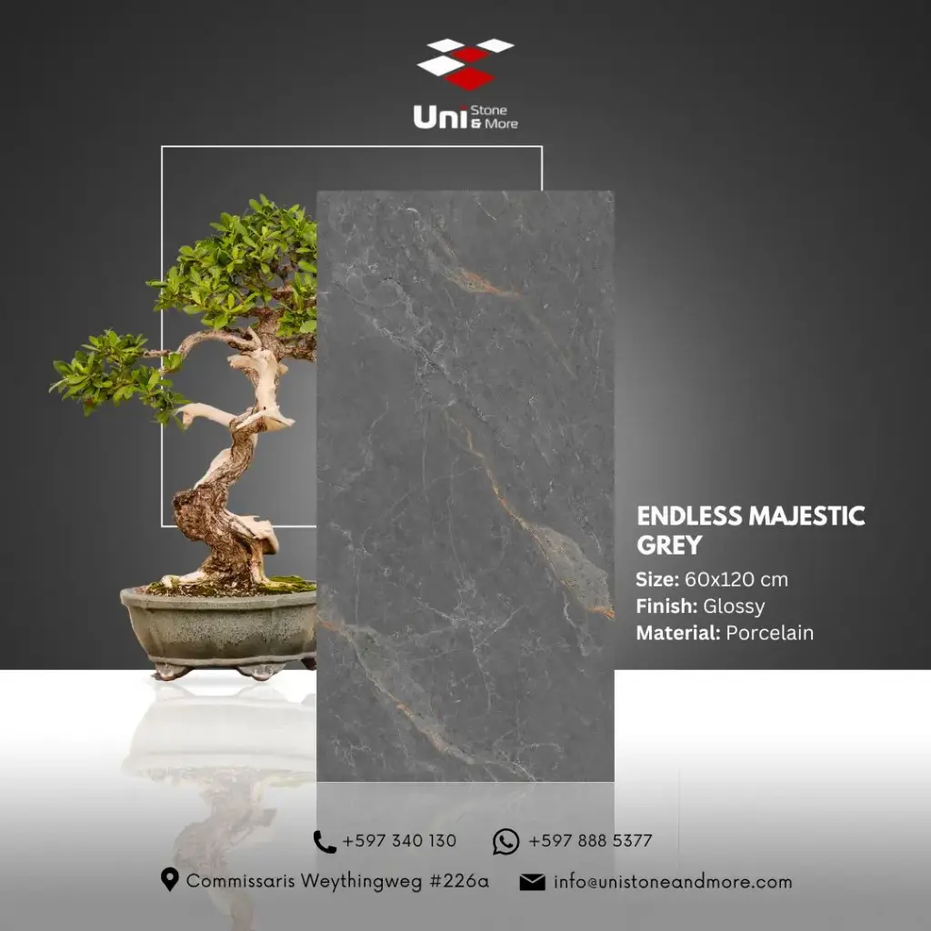 Endless Majestic Grey - Glossy - P - 60x120