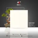 Nano Ivory - Glossy - P - 60x60