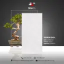 Design 1310-L - Glossy - C - 30x60